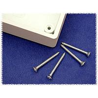 Hammond Manufacturing 1594TS100 Phillips #4 x 1.0" Screw Pack 100, Phillips