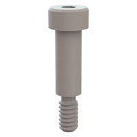 Essentra Components 31025062 Shoulder Screw Shoulder Screw, Hex Socket, #10-24 Thread