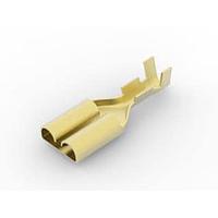 AMP Connectors - TE Connectivity 170303-1 Receptacle 250 SERIES F-F REC