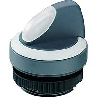 RAFI 1.30.272.101/2204 Switch Actuators RAFIX 22 FS Plus Selector Switch