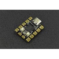 DFRobot DFR0959 Development Boards & Kits - ARM Beetle RP2040 Mini Development Board