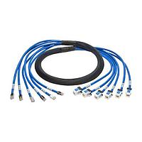 Tripp Lite N261-010-6MF-BL Cat 6 10FT CAT6 UTP TRUNK CABLE ASSE