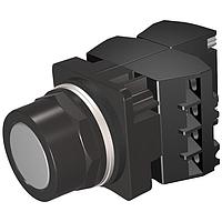 SIEMENS 52BM8A6C Flush PUSHBUTTON,MOM,GRAY,FLUSH,2POS,3NO-3NC