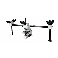 HINOTEK NJ-XSZ-510 Multi-viewing Microscope