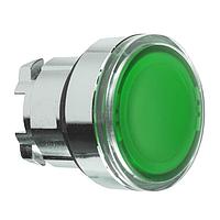 SCHNEIDER ZB4BA38 Momentary FLUSH W/ TRNSPRNT CAP, GREEN