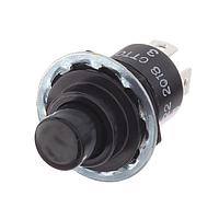 OTTO P1-71522 Momentary Precision Snap-Action Pushbutton Switch