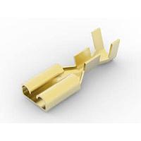 AMP Connectors - TE Connectivity 881623-1 Receptacle .187 SERIES FASTON