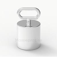 Masseprazise MPT-F2-100kg Individual Weight (100kg)