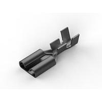 AMP Connectors - TE Connectivity 170213-2 Receptacle 250 SER FASTON REC