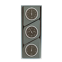 PHYWE 04850-00 Weather Station (-30 -+40 ° C, 960-1060 hPa, 0- 100%)