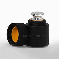 Masseprazise MPT-E2-1kg Individual Weight (1kg)