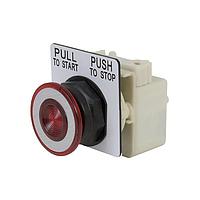 Square D 9001SKR8P1R Pushbutton Switches PSH BTTN 120VAC 30MM SK