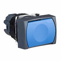 SCHNEIDER ZB6DA6 Momentary 16MM PB 65168-010