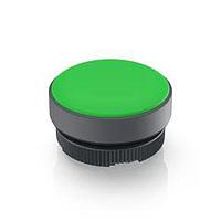 RAFI 1.74508.0012500 Indicator Actuator