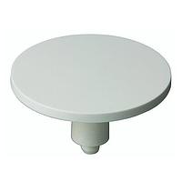 RAFI 5.46.168.049/0209 Switch Bezels / Switch Caps RACON 8/12 PLUNGER D 14.5 L 2.90 mm