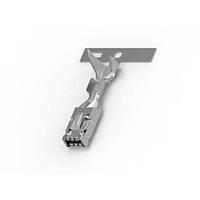 AMP Connectors - TE Connectivity 1670802-1 Quick Connect Mcon-2.8