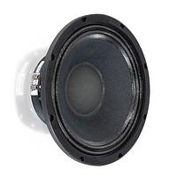 VISATON 3050 Speakers 25cm (10") Bass Midrange Die Cast 65mm voice coil 300-450W fu 4200Hz 8ohm 52Hz