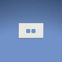Panduit T70L2EI Power Rated Fitting Snap-on Horizontal Communication Facepla