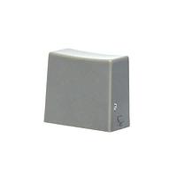 E-Switch 1CLGR Cap 9 X 5MM RECT CAP LGR