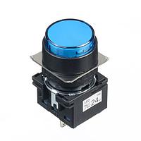 IDEC LB1P-1T04S Panel Mount Indicators / Switch Indicators LB 16mm Pilot light S