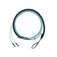 Panduit FWTYL7575KAM089 Fiber Optic Cable Assemblies OM5 Sig Core 12f Trunk LSZH PanMPO F/Pan