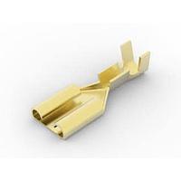 AMP Connectors - TE Connectivity 41771-1 Receptacle RECP 250 SERIES