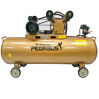 PEGASUS TM-V-0.25/8-120L Belt Driven Air Compressor (220V, 8 Kg/cm, 120L)