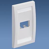 Panduit CFPE2EIY Wire Ducting & Raceways Faceplate 2 Port Single Gang Executiv