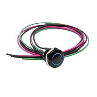 E-Switch PVA6REW4141 Anti-Vandal Anti-vandal, SPST, Off-(On), Panel Mount, Front, Black, LED, Blue, IP67