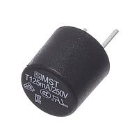 Schurter 0034.6606 Specialty Fuses MST 250 125mA T 4.3