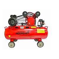 PEGASUS TM-V-0.12/8-70L Belt Driven Air Compressor (220V, 8 Kg/cm, 70L)