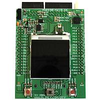 Olimex Ltd. MSP430-4619LCD Development Boards