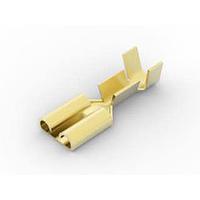 AMP Connectors - TE Connectivity 5-160465-1 Receptacle 250 FASTON IS