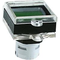 RAFI 5.05.800.065/0000 Switch Cases / Switch Covers Blankingplug sqr.