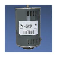 Panduit C075X025CBD Adhesive DATA LABELS-WM