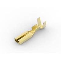 AMP Connectors - TE Connectivity 881607-1 Receptacle .110S FASTON REC.