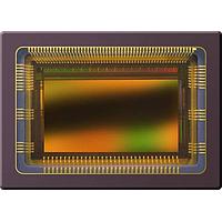 ams OSRAM CMV2000-2E5M1LP Image Sensors Image Sensor