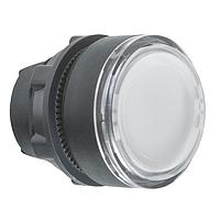 SCHNEIDER ZB5AA18 Head FLUSH W/ TRANSPARENT CAP, WHITE