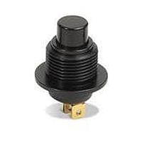 OTTO P5-311228 Alternate Action Bezel Threaded 10A SPST Silver Cmrcl