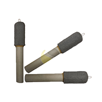 B-Type Temperature Sensor