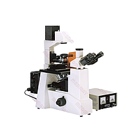 Medmay MMIC071 Fluorescent Microscope (10X, 25X, 40X)
