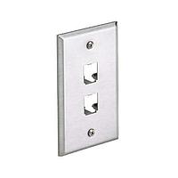 Panduit CFP2SY Wire Ducting & Raceways Faceplate 2 Port Stainless Steel