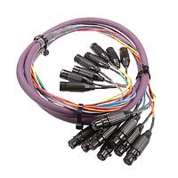 Switchcraft XLRM05XLRFB Accessories XLR M-XLR F, 5 FT 8 CH AUD SN BLK/GLD