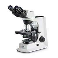 KERN OBL 156 Phase Contrast Microscope (Trinocular, 10x)