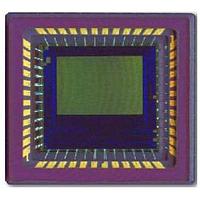 onsemi NOIL1SM0300A-QDC Image Sensor Andon LUPA300 MONO LLC48