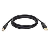 Tripp Lite U022-006 USB 2.0 6' 2.0 GOLD USB A/B DEVICE CABLE