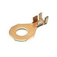 Aptiv 02977491 Accessories TERM RING STR CBL RGE 8.0