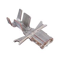 Aptiv 13675585 Terminals TERM PWRPCK1000 F