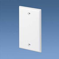 Panduit CPNIW Faceplate Single Gang Screw-on Blank Faceplate