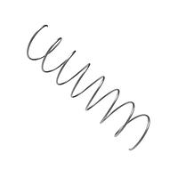 RAF Electronic Hardware 1056-SS Springs STAINLESS STEEL SPRING